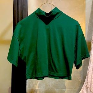Cute half (loose) turtle neck cropped shirt
